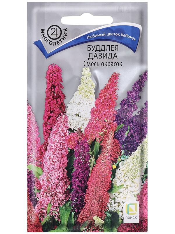 Семена цветов Буддлея 