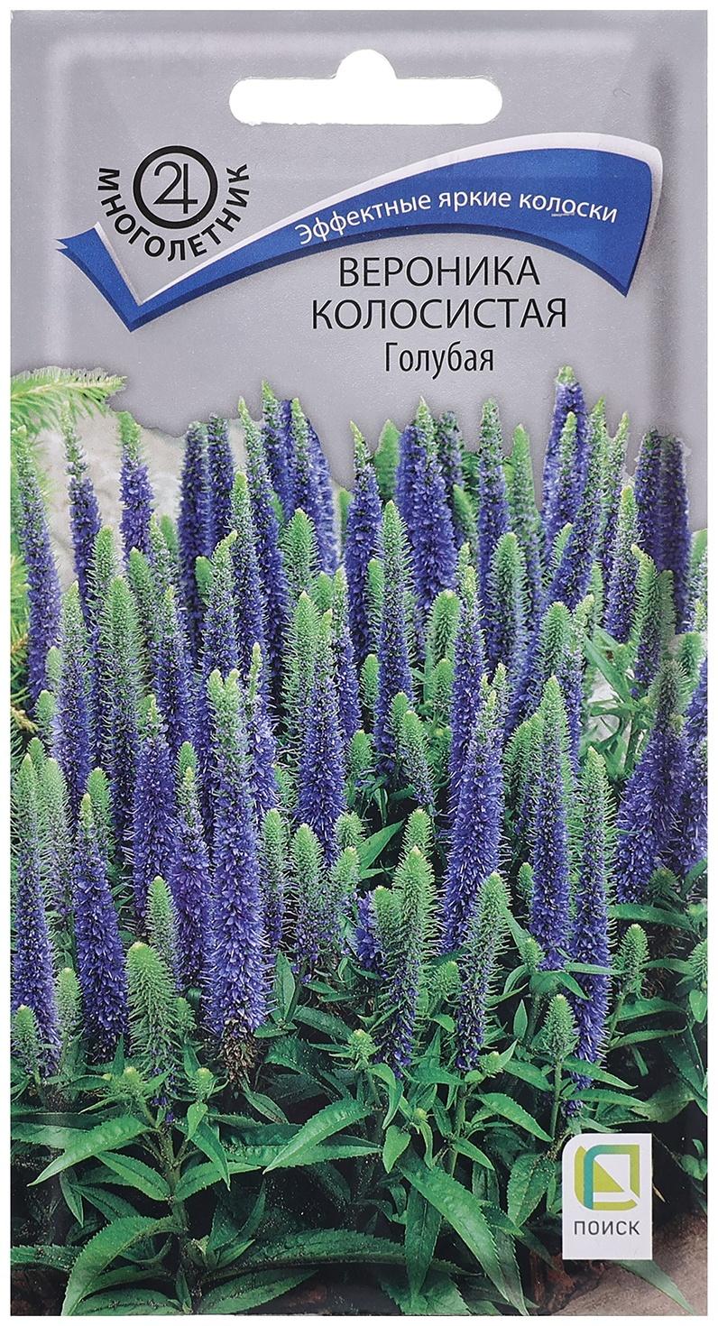 Семена цветов Вероника колосистая 