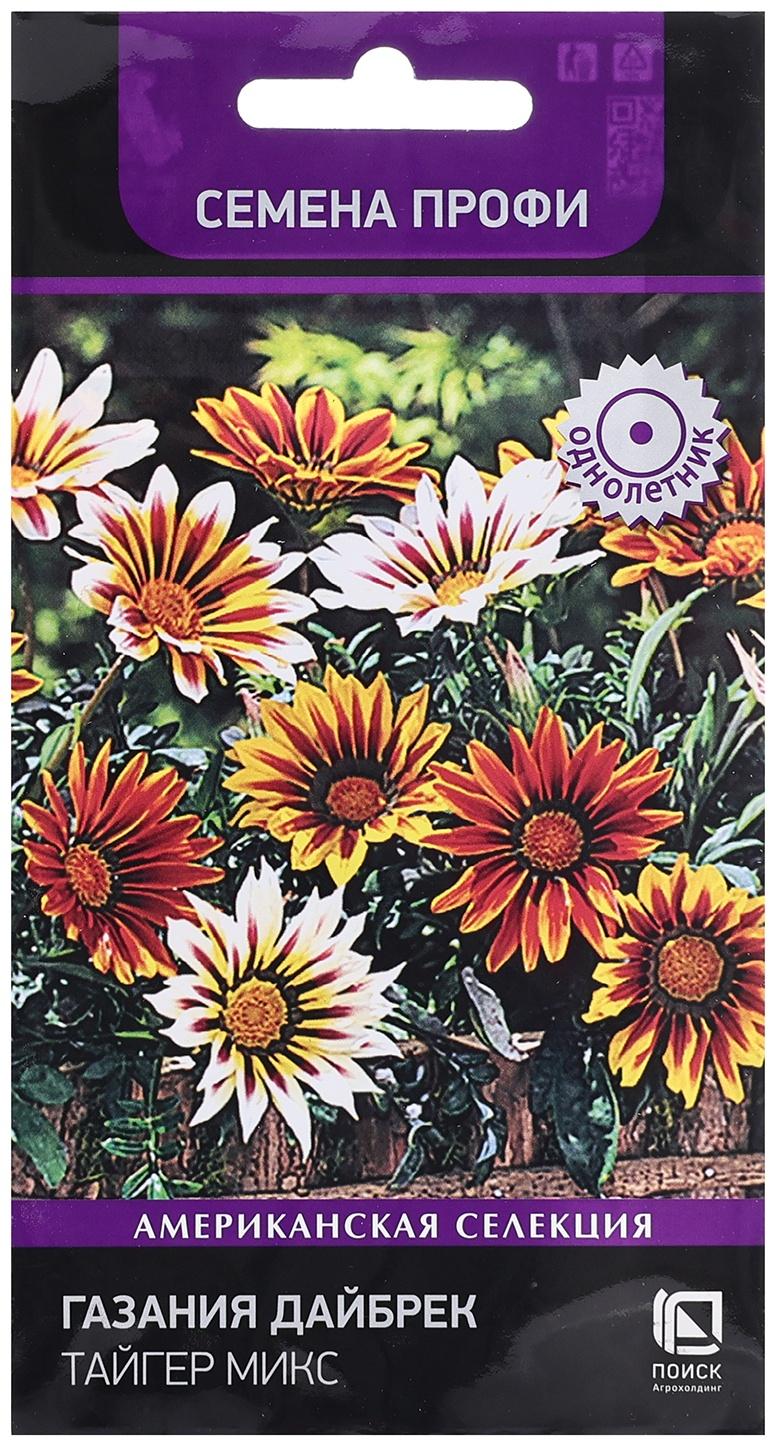 Семена цветов Газания 