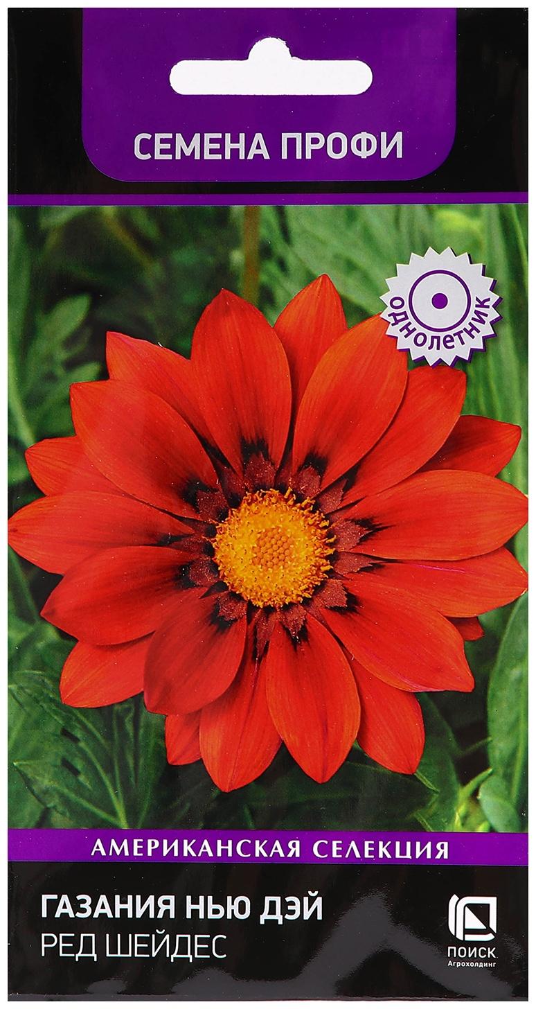 Семена цветов Газания 