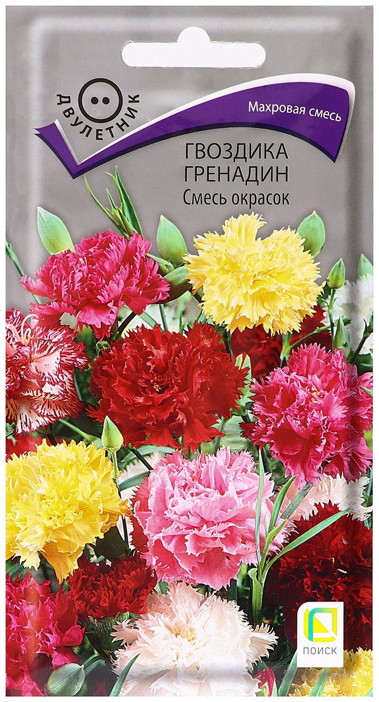 Семена цветов Гвоздика 