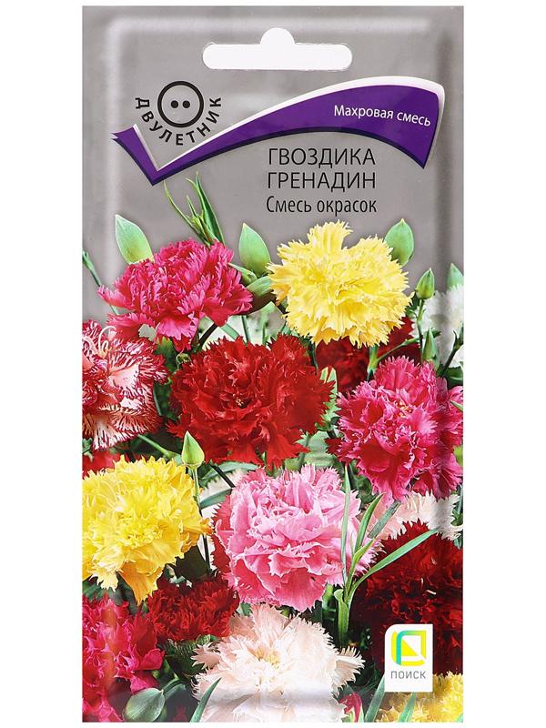 Семена цветов Гвоздика 