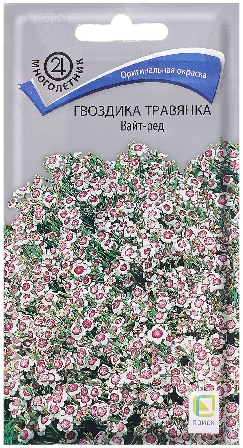 Семена цветов Гвоздика травянка 