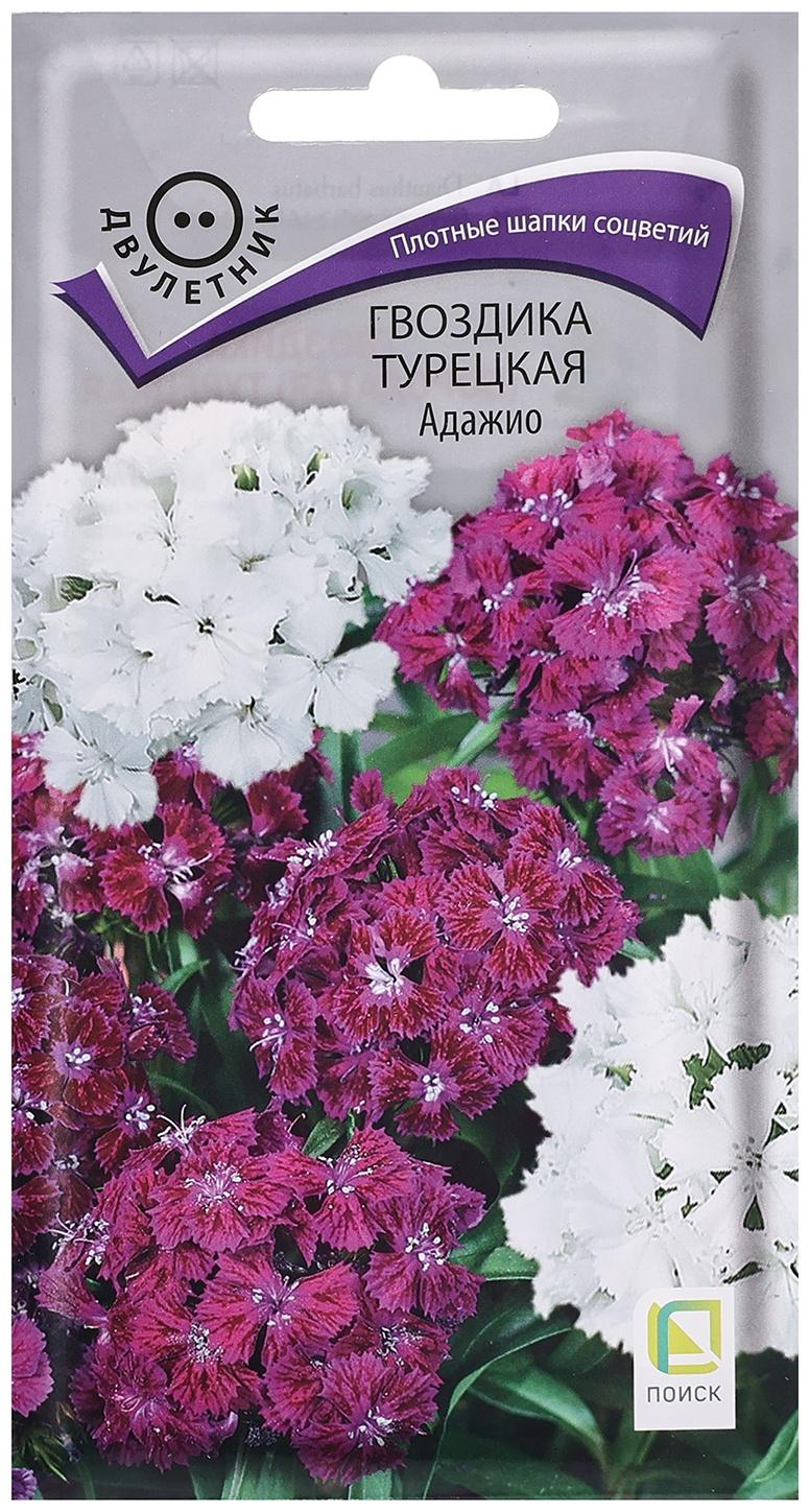 Семена цветов Гвоздика 