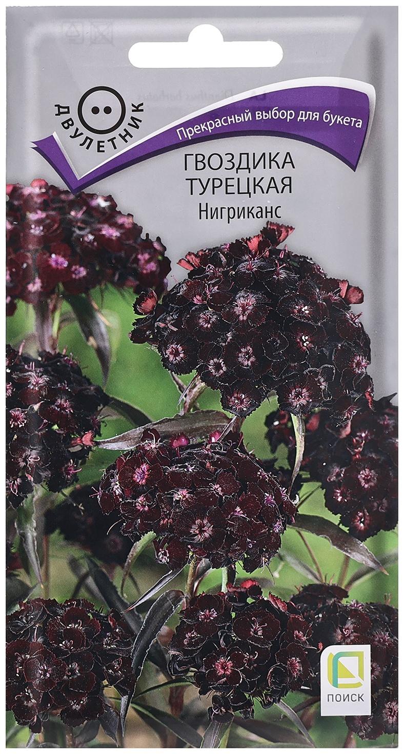 Семена цветов Гвоздика 