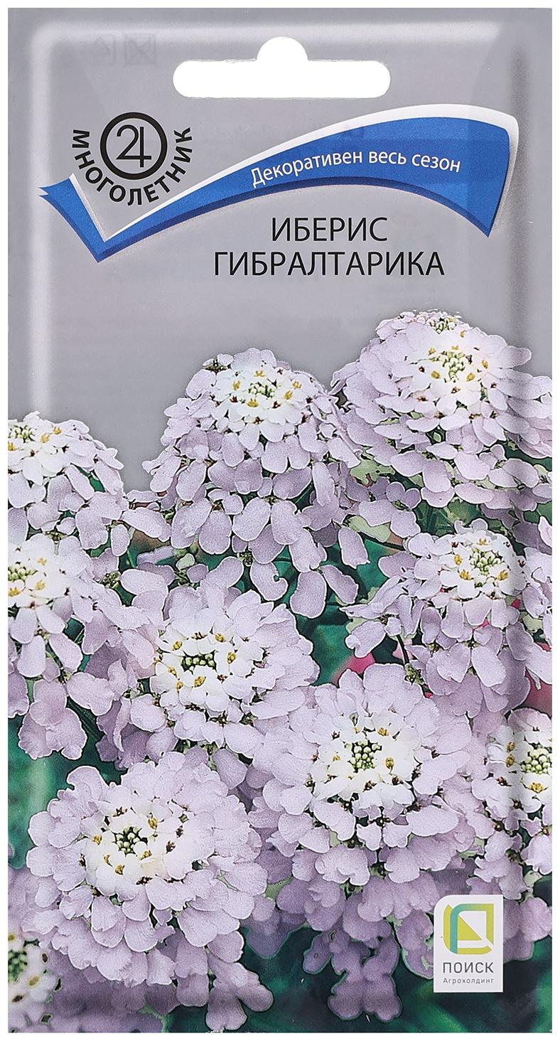 Семена цветов Иберис 