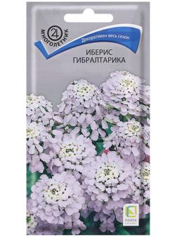 Семена цветов Иберис 