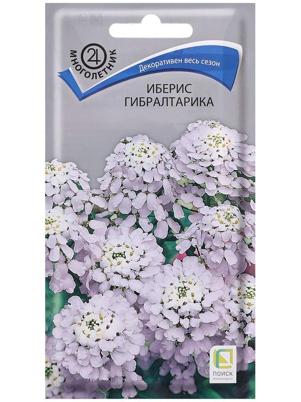 Семена цветов Иберис 