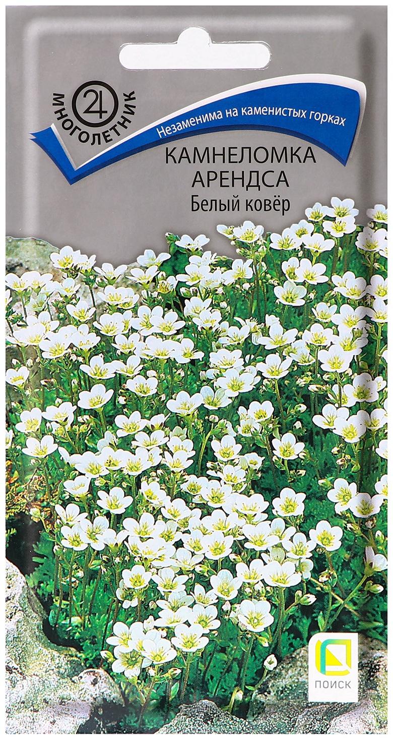 Семена цветов Камнеломка Арендса 