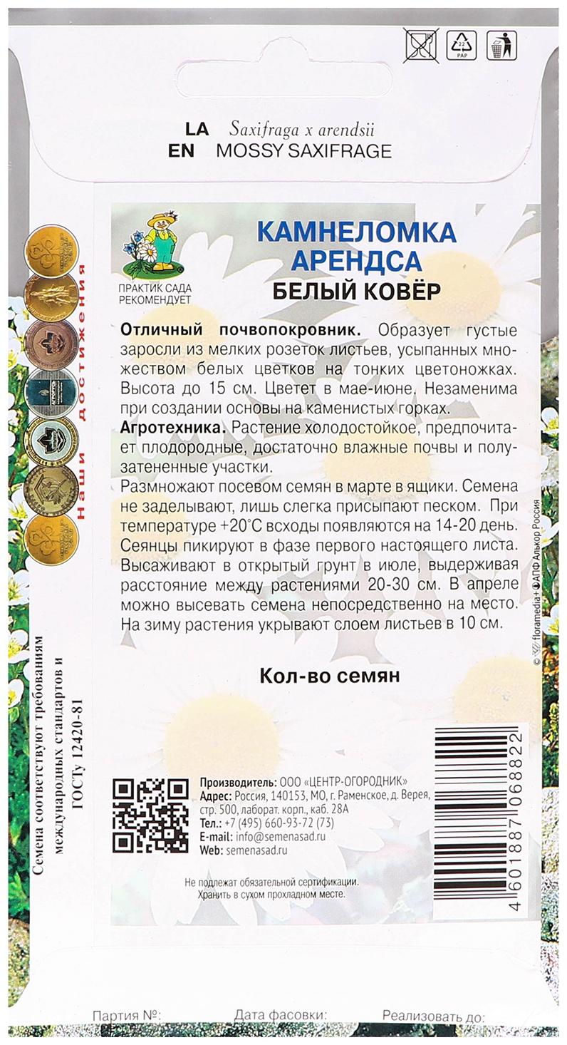 Семена цветов Камнеломка Арендса 