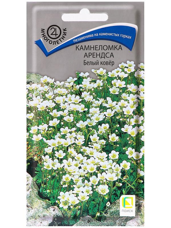 Семена цветов Камнеломка Арендса 