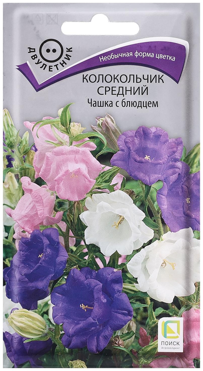 Семена цветов Колокольчик средний 