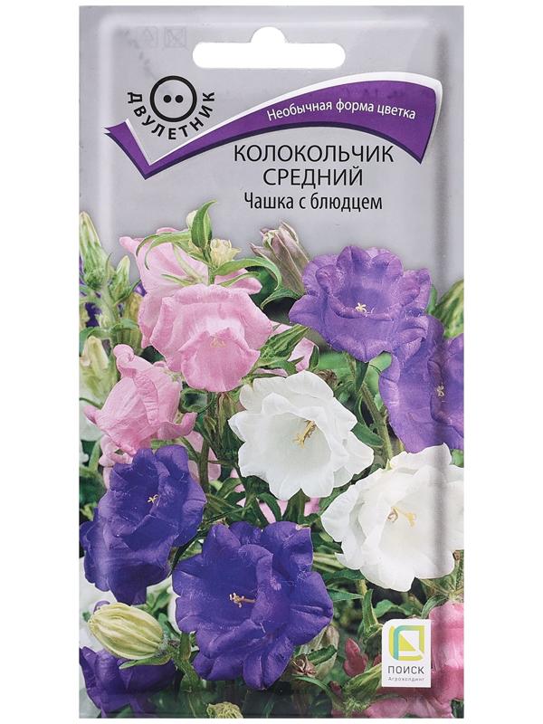 Семена цветов Колокольчик средний 