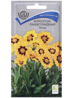Семена цветов Кореопсис ланцетовидный 
