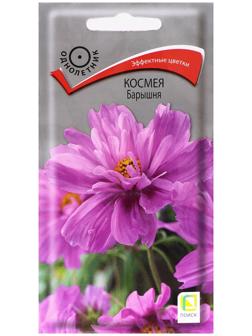 Семена цветов Космея 