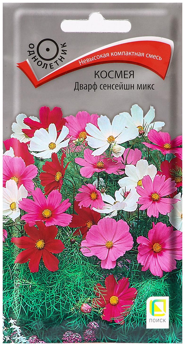 Семена цветов Космея 