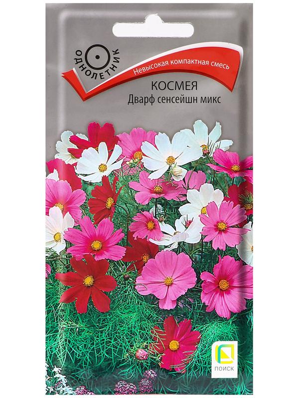 Семена цветов Космея 