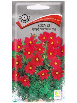 Семена цветов Космея 