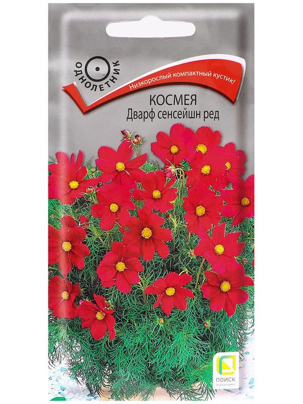 Семена цветов Космея 