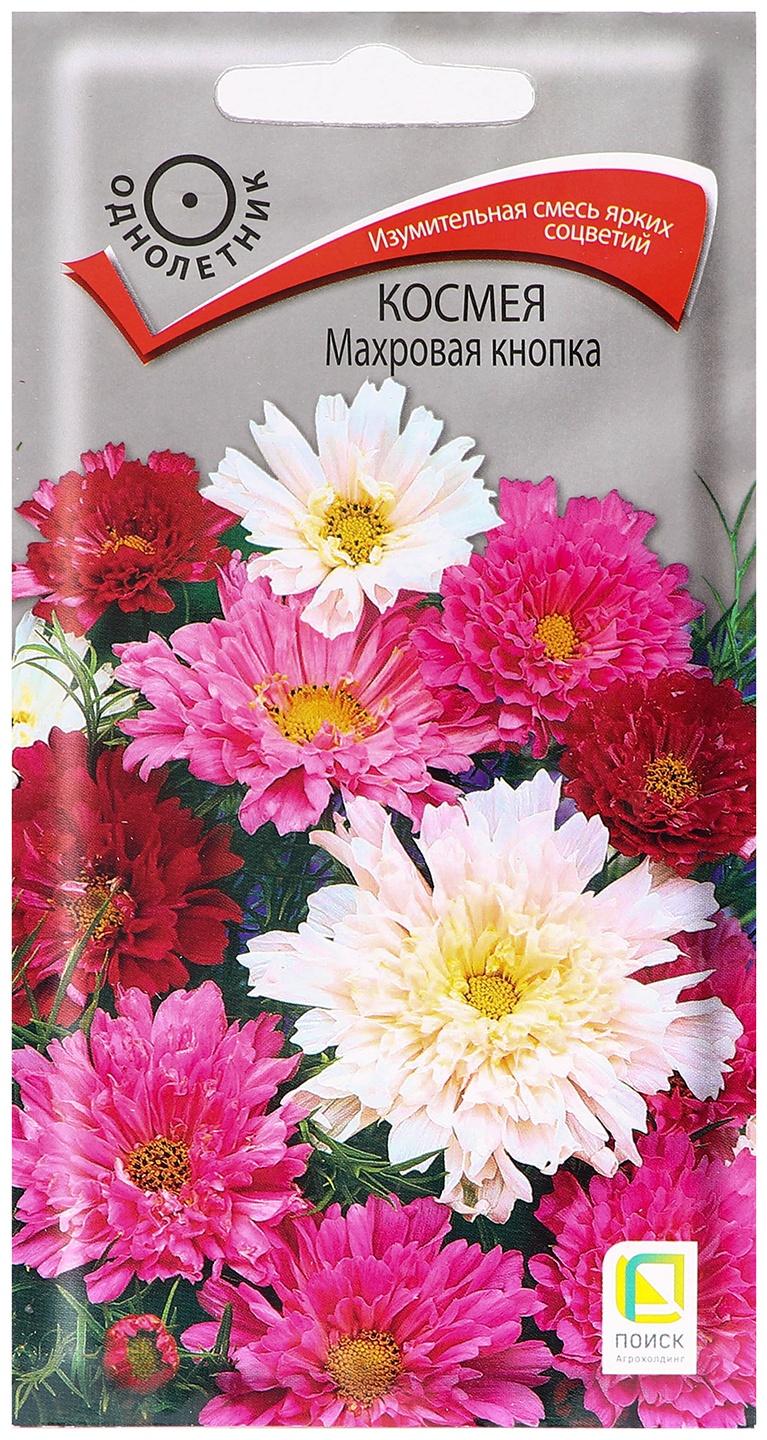 Семена цветов Космея 