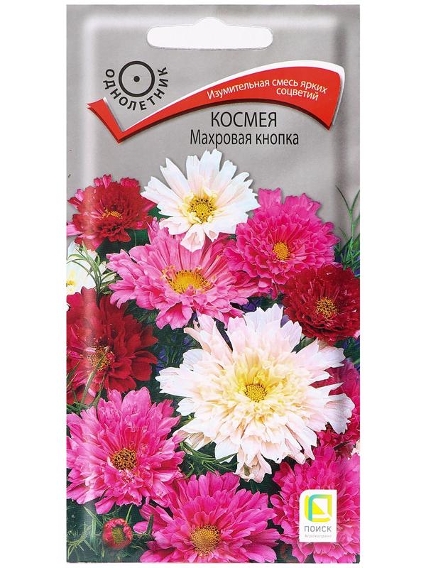 Семена цветов Космея 