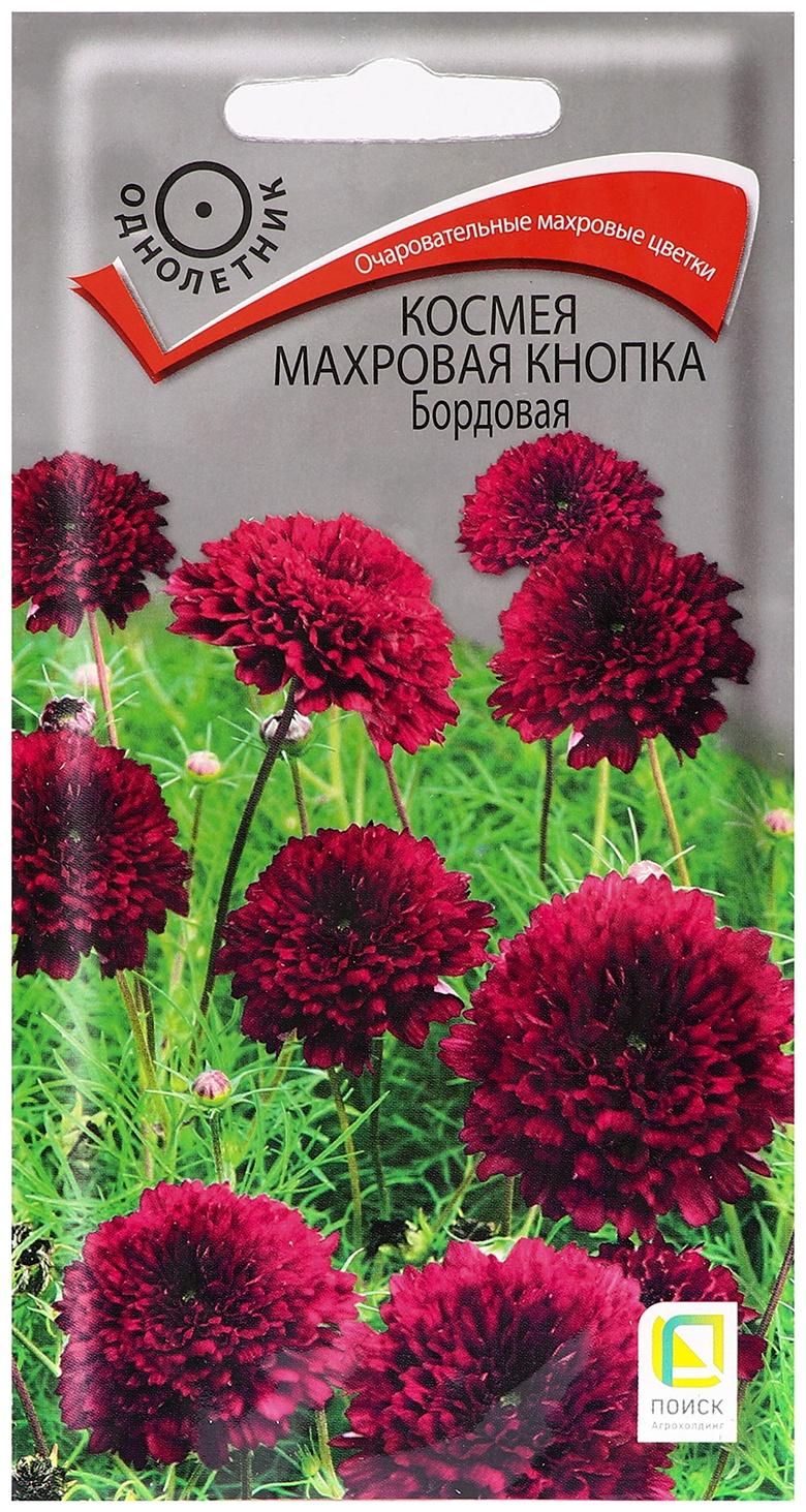 Семена цветов Космея 