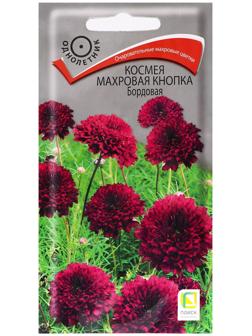 Семена цветов Космея 