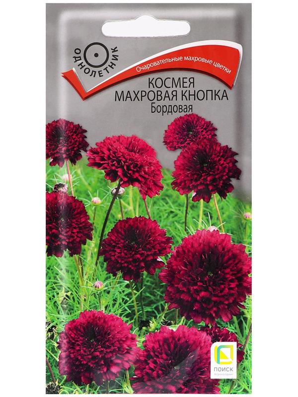 Семена цветов Космея 