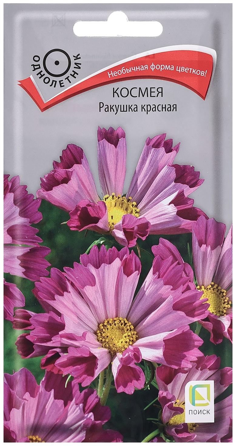 Семена цветов Космея 