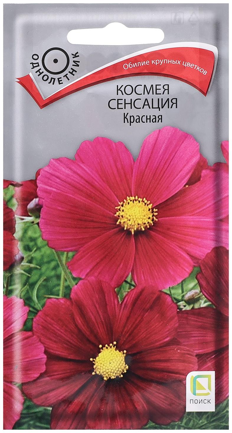 Семена цветов Космея 