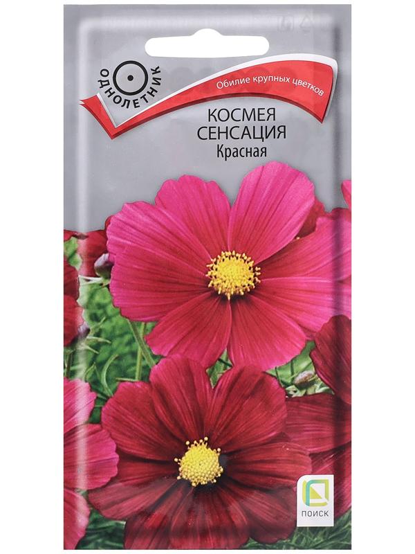 Семена цветов Космея 