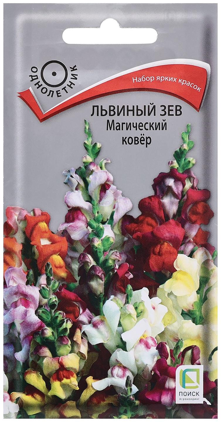 Семена цветов Львиный зев 