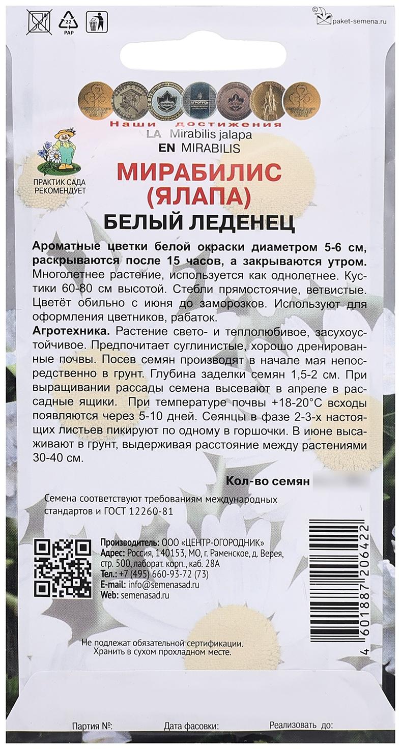 Семена цветов Мирабилис 