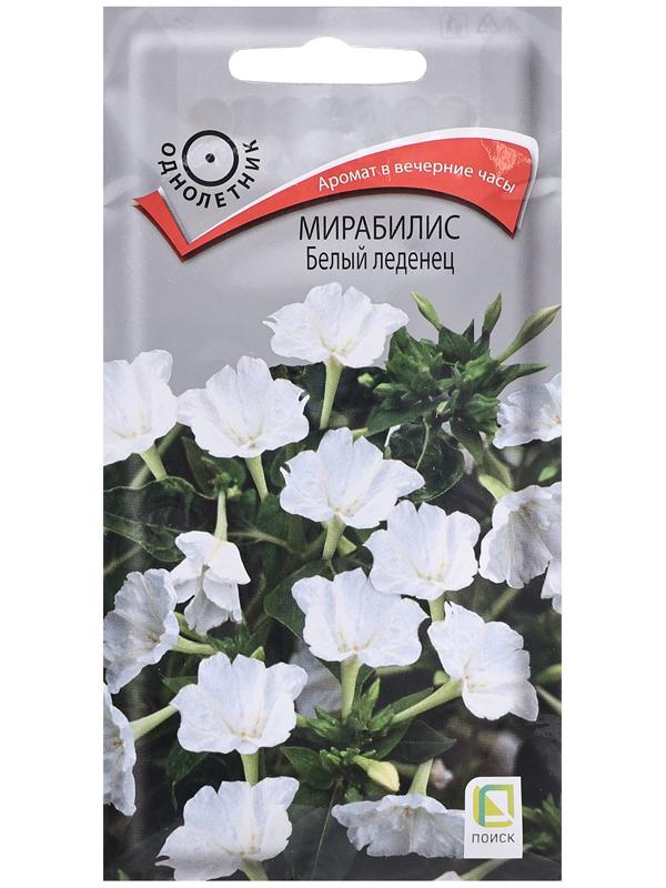 Семена цветов Мирабилис 
