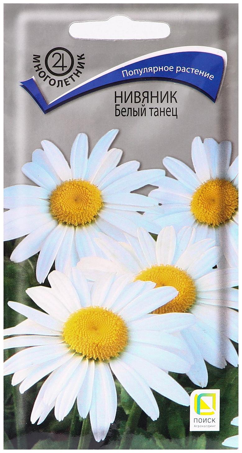 Семена цветов Нивяник 