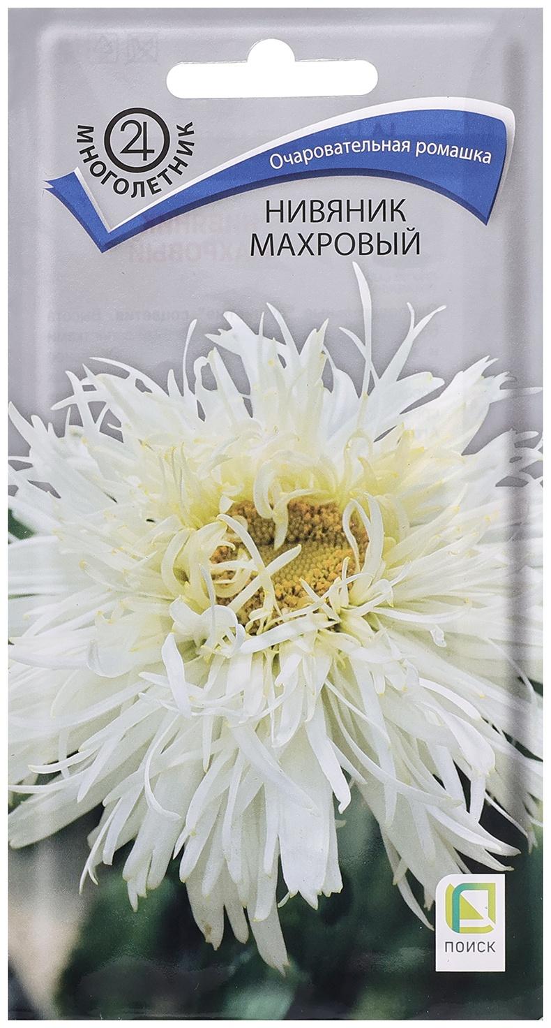 Семена цветов Нивяник 