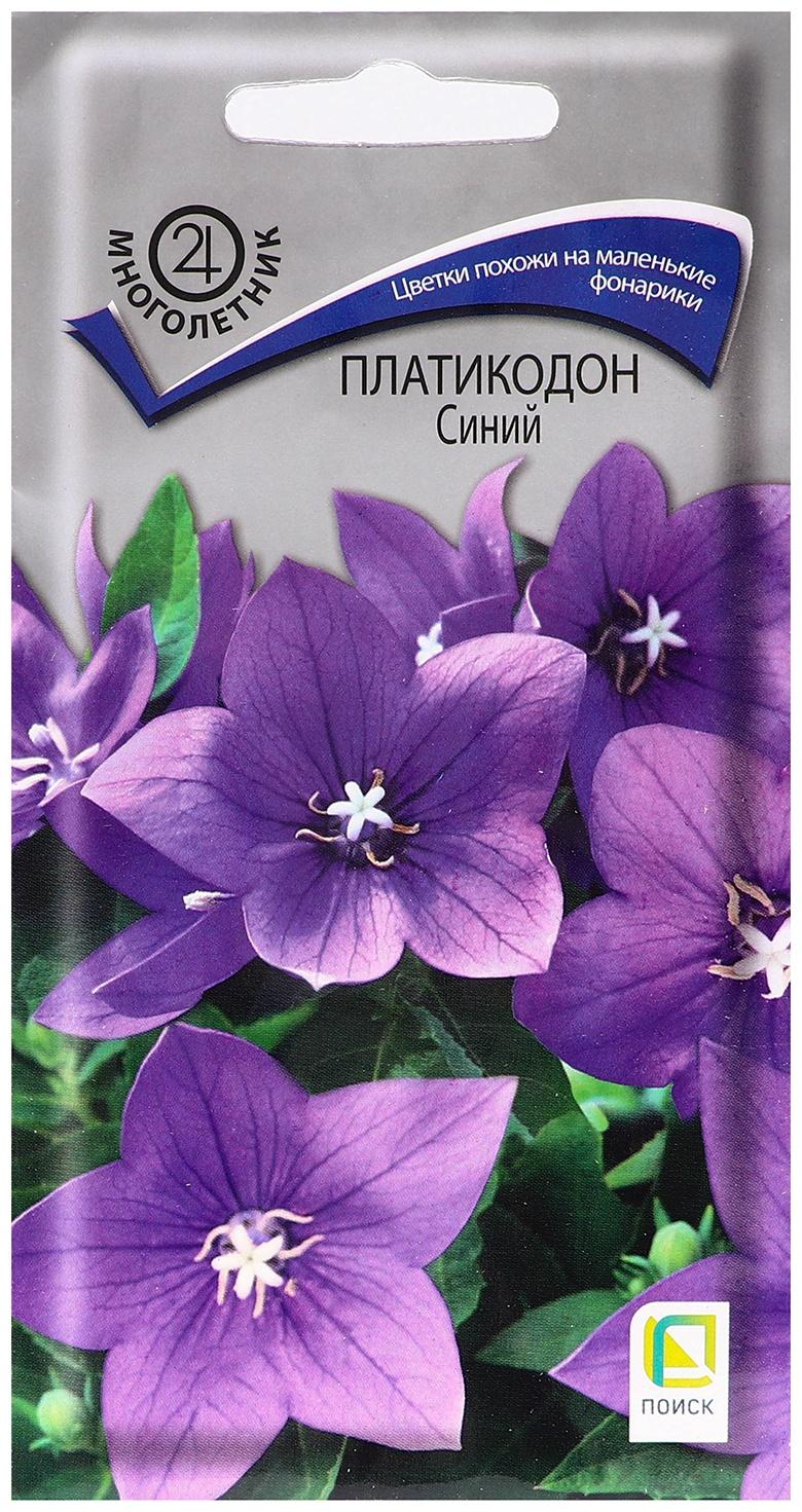 Семена цветов Платикодон 