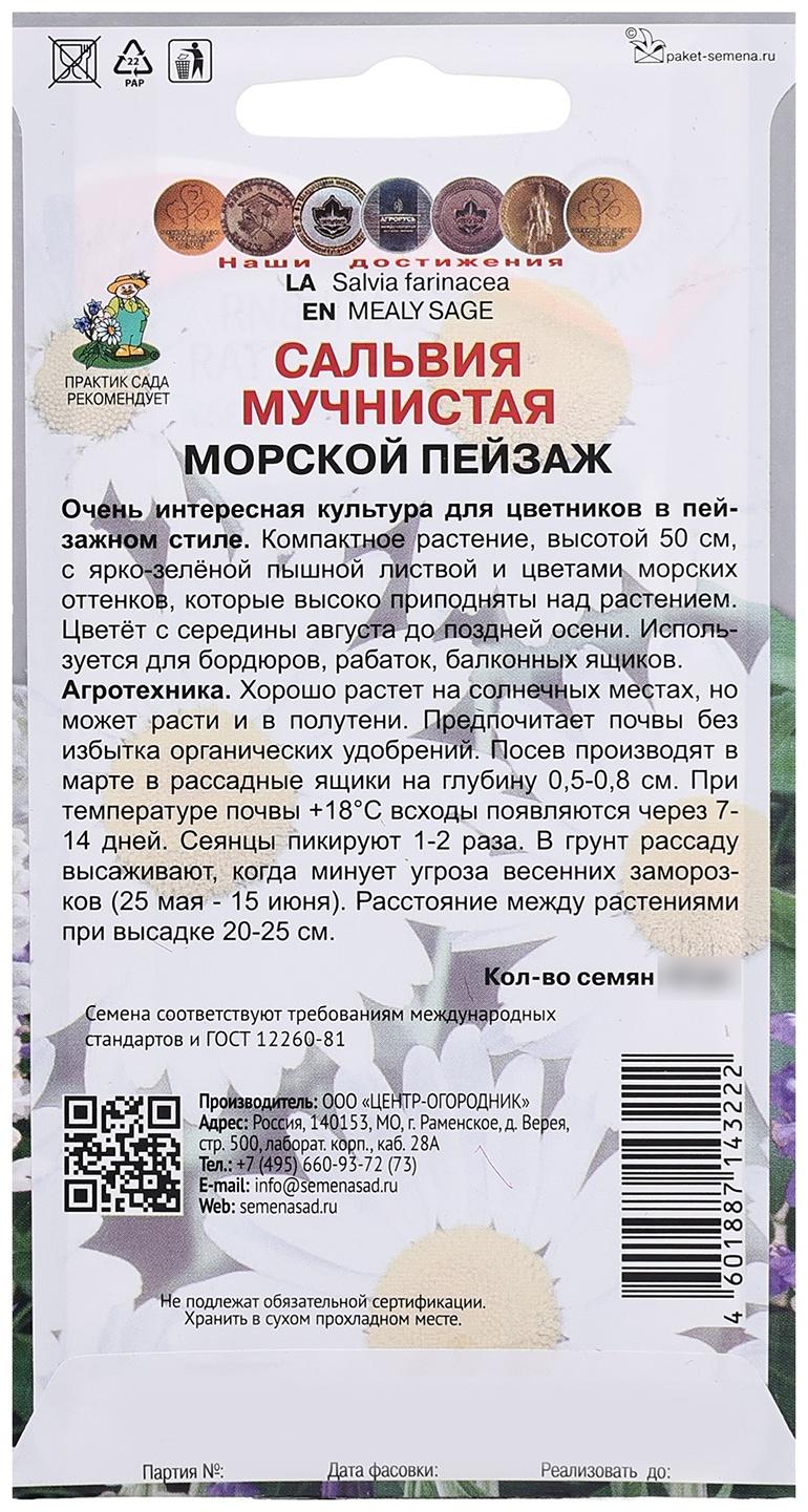 Семена цветов Сальвия мучнистая 