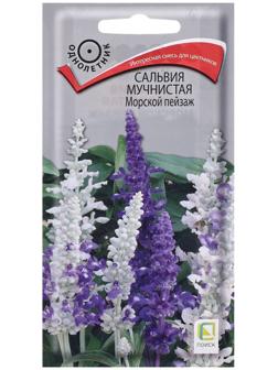 Семена цветов Сальвия мучнистая 