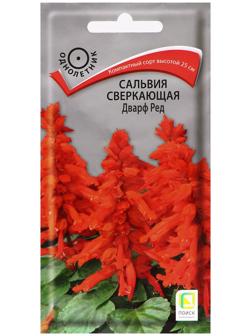 Семена цветов Сальвия сверкающая 