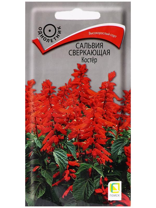 Семена цветов Сальвия сверкающая 