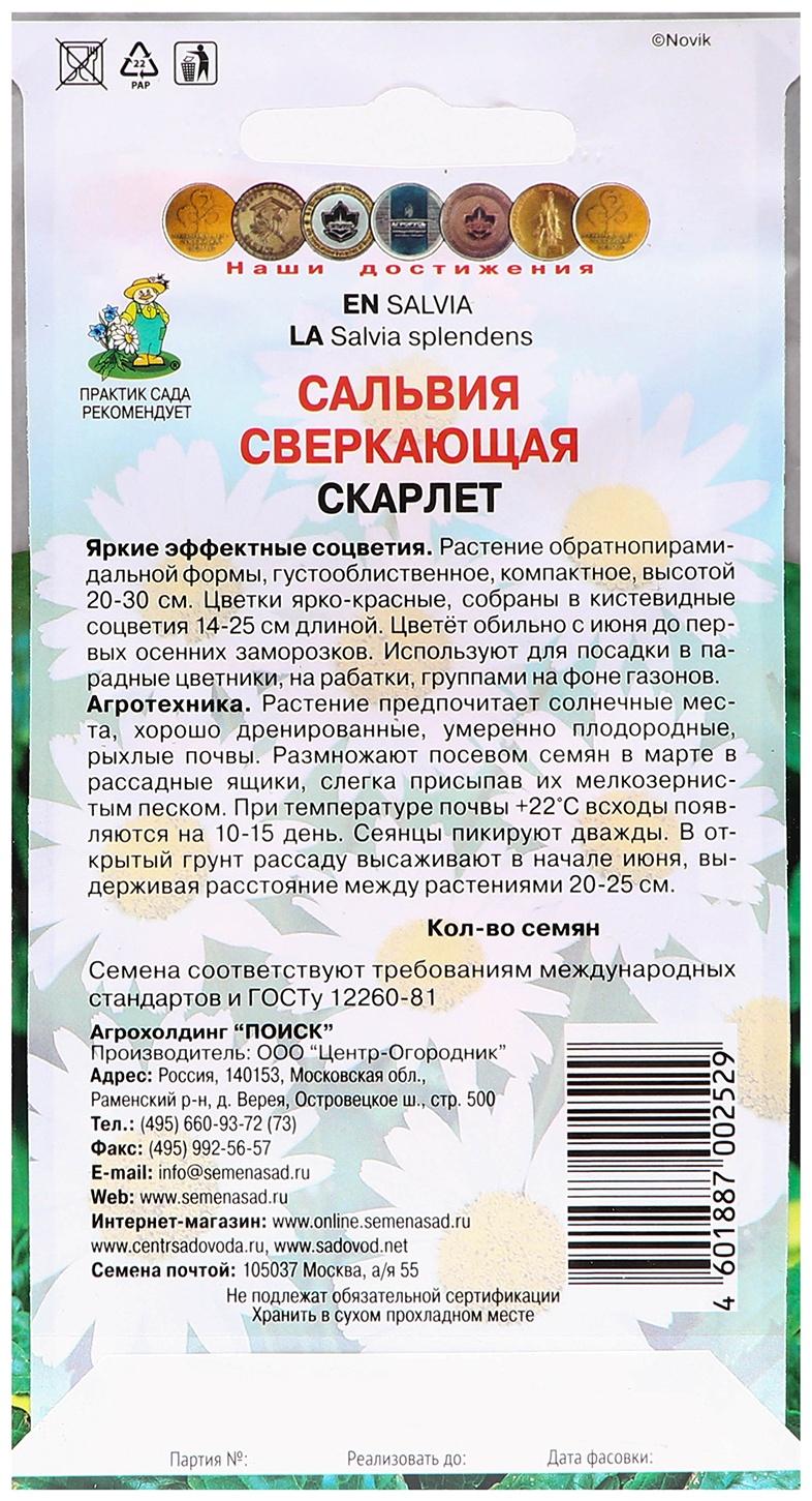 Семена цветов Сальвия сверкающая 