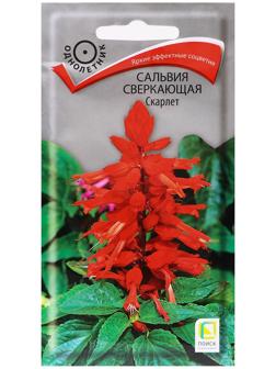 Семена цветов Сальвия сверкающая 