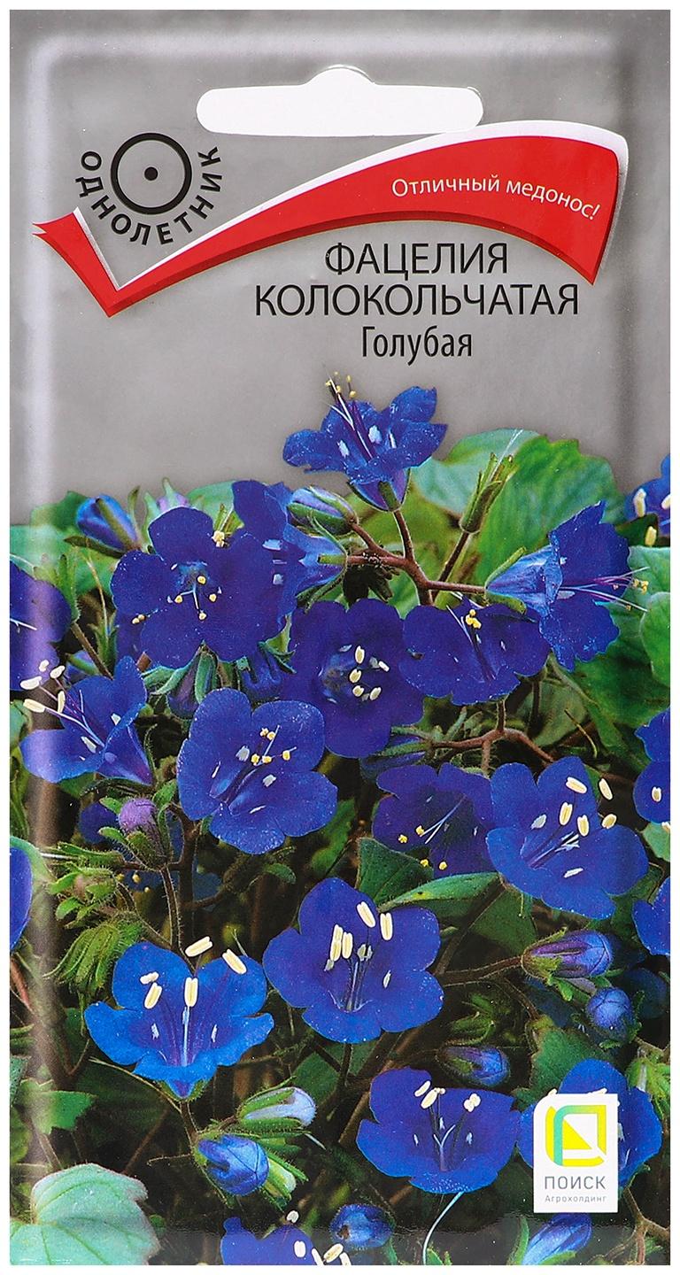 Семена цветов Фацелия 