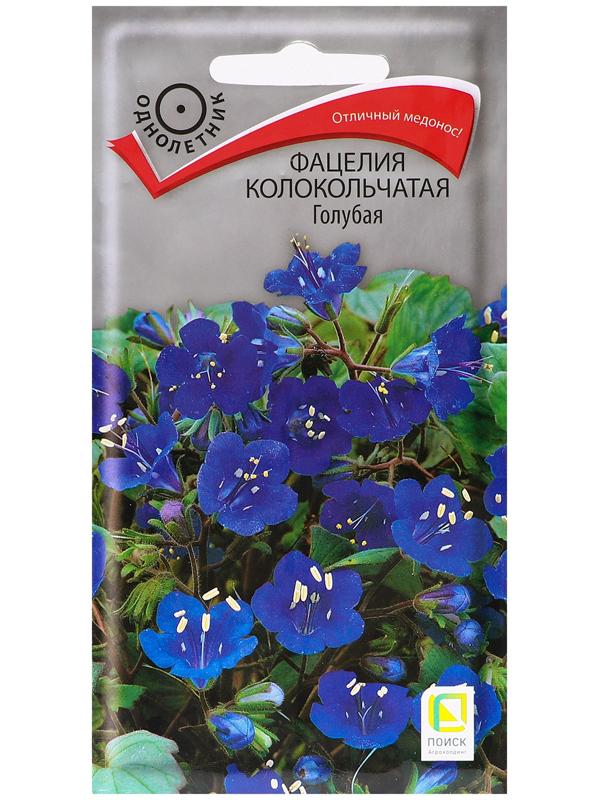 Семена цветов Фацелия 