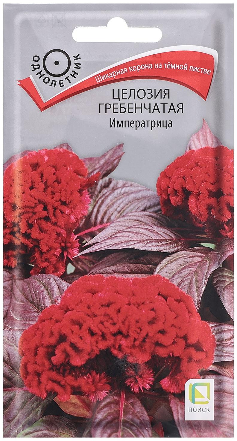 Семена цветов Целозия гребенчатая 