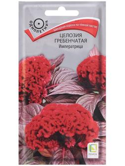 Семена цветов Целозия гребенчатая 