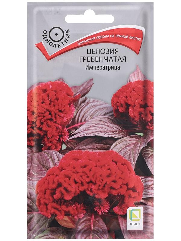 Семена цветов Целозия гребенчатая 