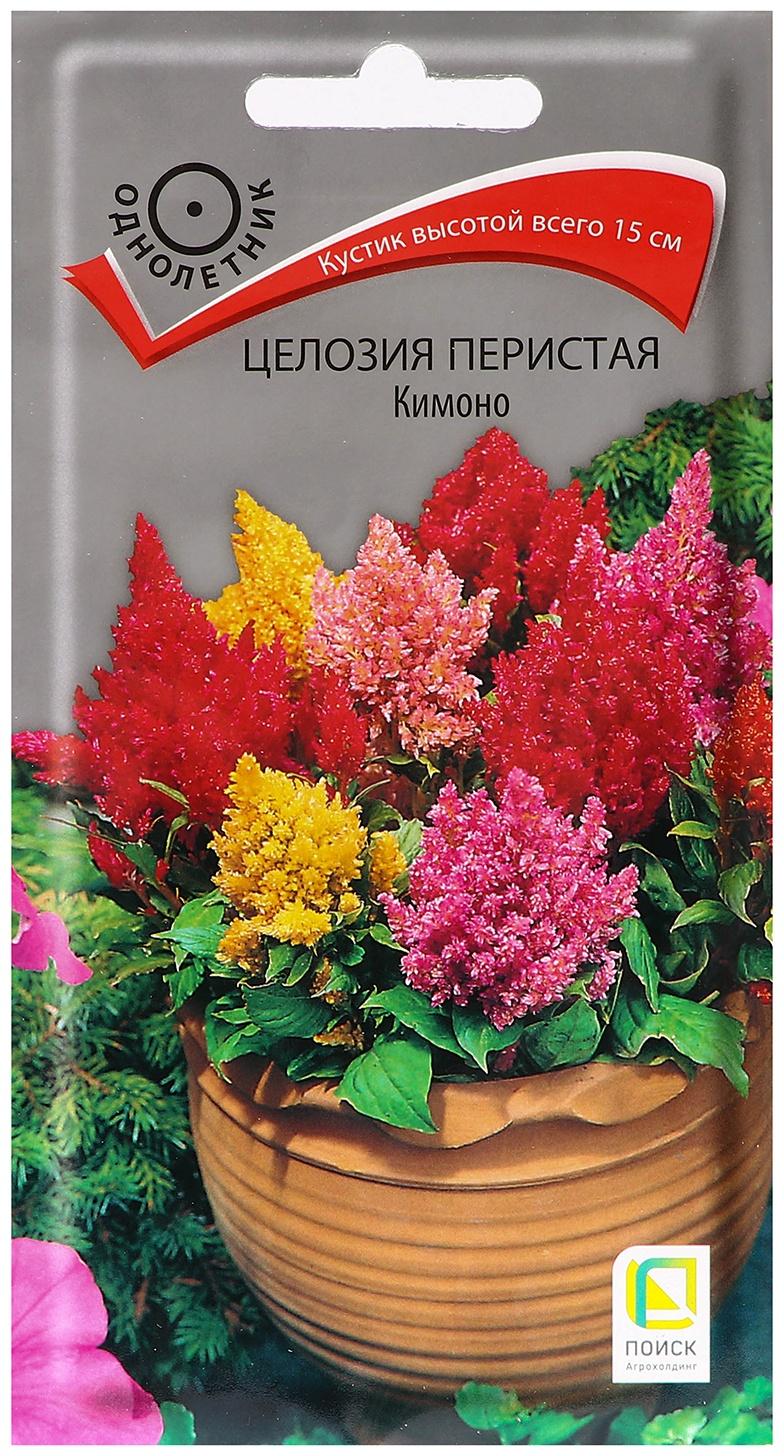 Семена цветов Целозия перистая 