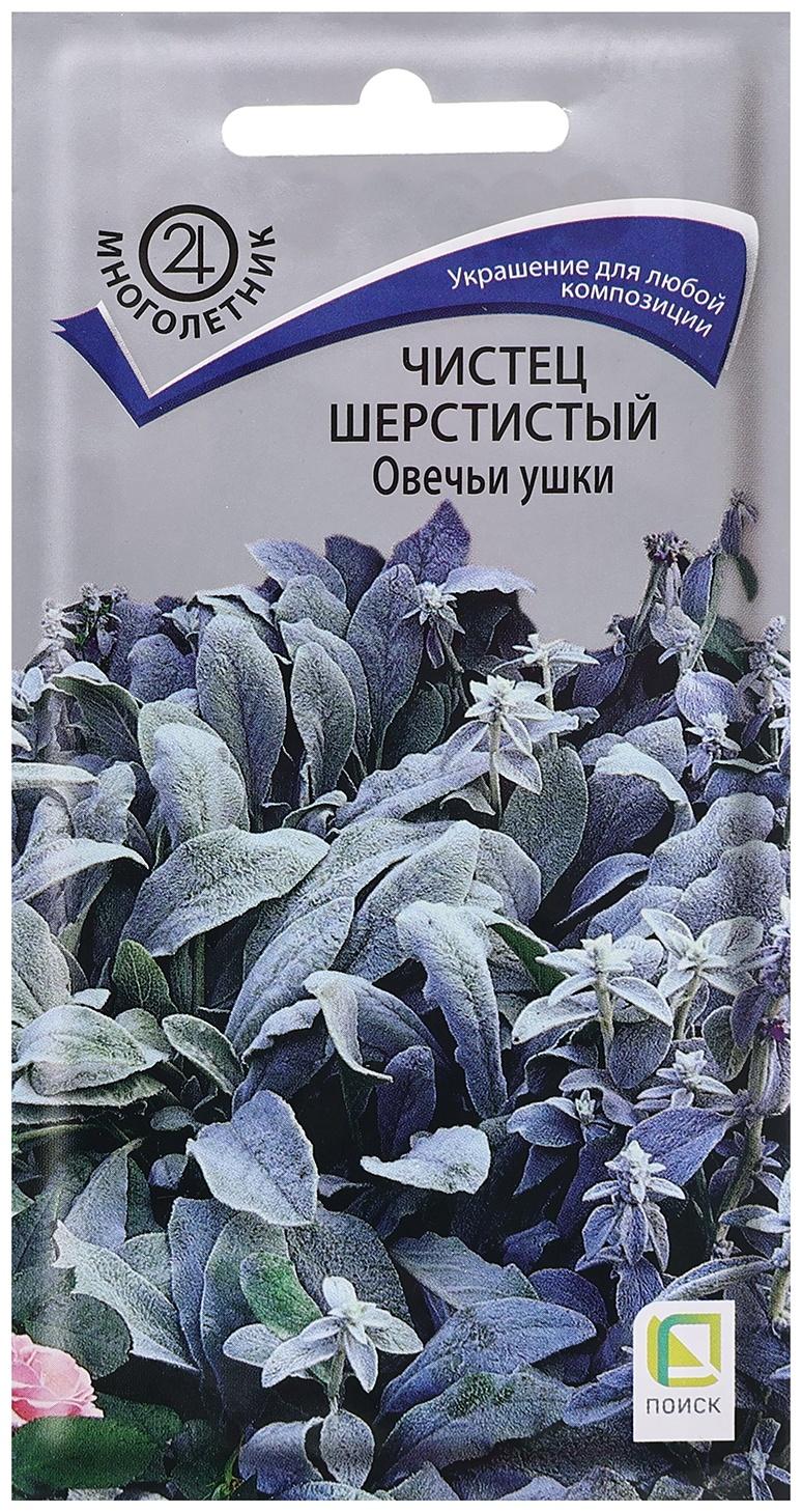 Семена цветов Чистец шерстистый 